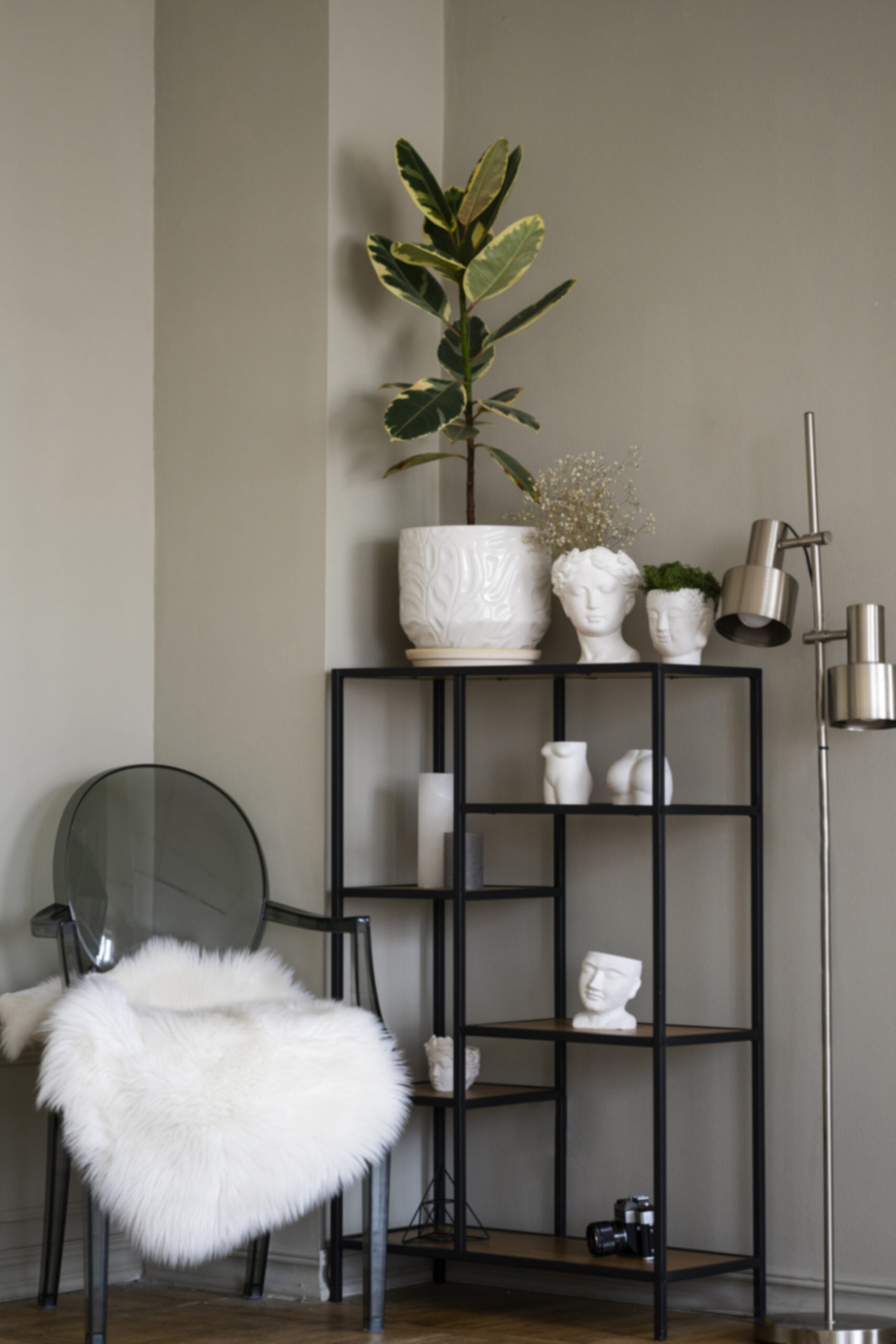 view-potted-plant-room-metal-shelf